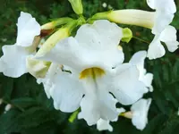 P1070091_800_600.webp