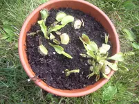 IMGP4930.webp