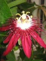 IMG_6645.webp