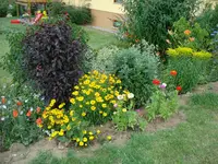 Gartengrenze.webp