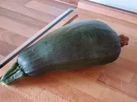 Monsterzucchini.webp