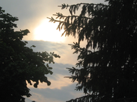 IMG_2036.webp