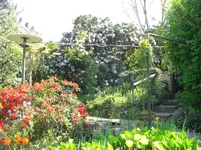 ccc21,04,2009 Oma.s  Garten 012.webp