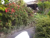 von 1980.webp