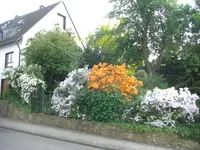 M23Q12.webp
