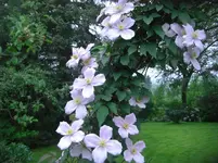 CIMG7166.webp