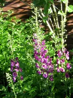 IMG_4478-001.webp