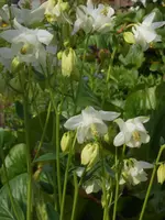 DSCN2354.webp