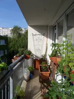 SDC12467.webp
