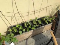 IMG_6305 (Small) (2).webp