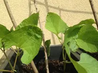 IMG_6306 (Small).webp