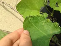 IMG_6308 (Small).webp