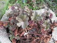 007_1024x768.JPG