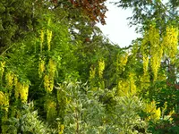 DSCN7958.webp