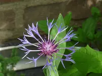 P1180147.webp