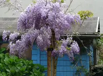 P1180286.webp