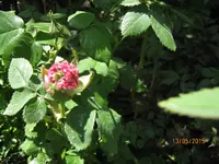 IMG_4492.webp