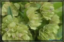 comp_DSC03428.webp