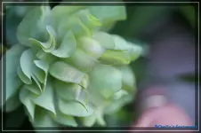 comp_DSC03442.webp