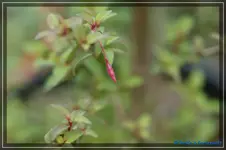 comp_DSC03449.webp