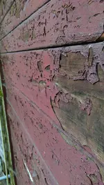 IMAG0300_BURST002.webp