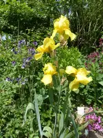 P1370870.webp P1370870.webp