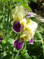 P1370873.webp P1370873.webp