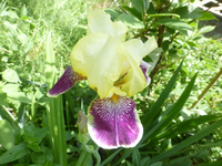 P1370874.webp P1370874.webp