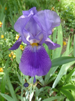 P1370876.webp P1370876.webp