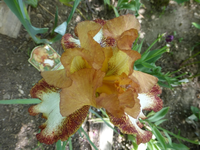 P1370881.webp P1370881.webp