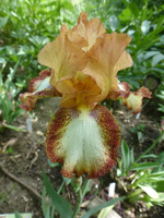 P1370882.webp P1370882.webp