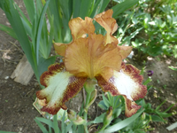 P1370883.webp P1370883.webp