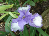 P1370909.webp P1370909.webp