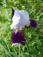 P1370913.webp P1370913.webp