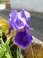 P1370959.webp P1370959.webp