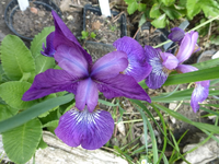 P1370936.webp P1370936.webp