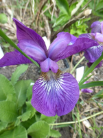 P1370937.webp P1370937.webp