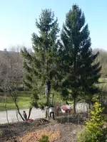 P1030981.webp