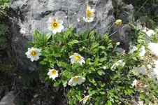 DSCF0861.webp