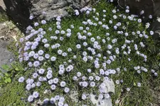 DSCF0862.webp