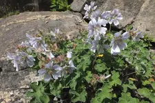DSCF0864.webp