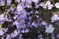 DSCF0865.webp