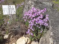 DSCF0870 (2).webp