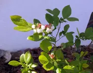 k-P1090157.webp