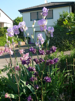 k-P1090144.webp
