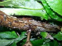 20150514_113506.webp