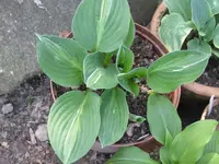 003_1024x768.webp