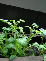 DSC03584.webp