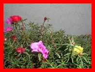 048.webp