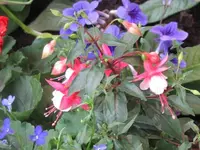 011.webp